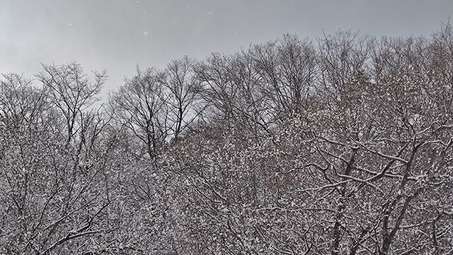 IMG_20230102_100319462