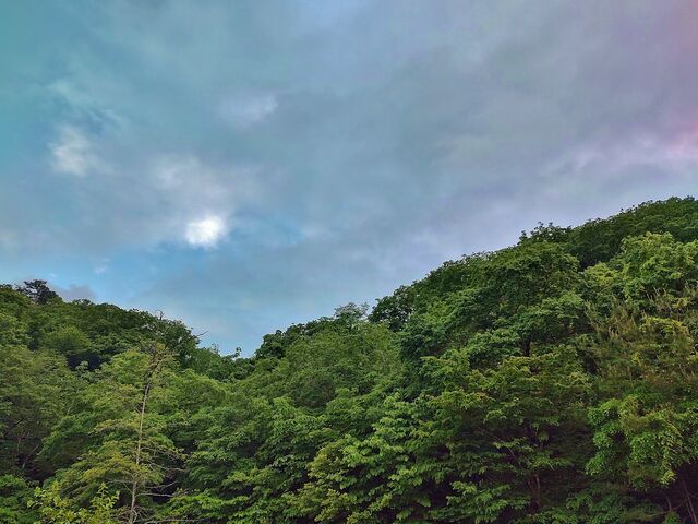 IMG_20220522_174702927_HDR