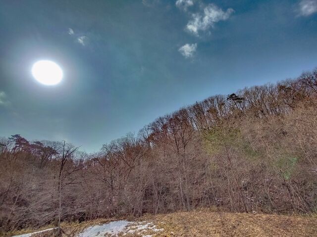 IMG_20220305_102828879_HDR_edited