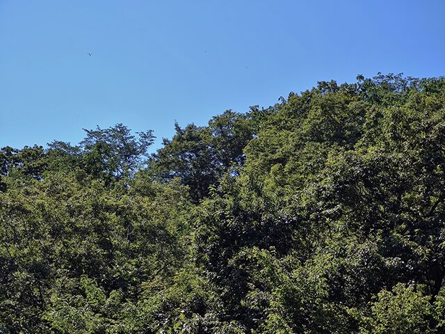 IMG_20220910_101905350