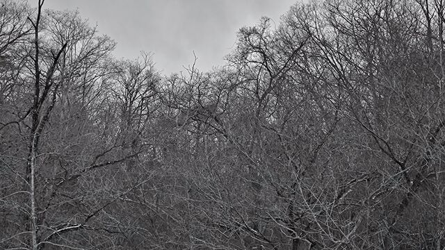 IMG_20221218_142028242
