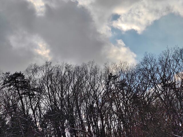 IMG_20220211_143843975