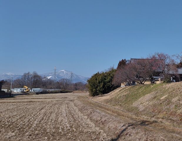 IMG_20220312_121254405