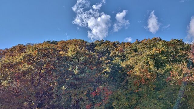 IMG_20221103_102013592_HDR