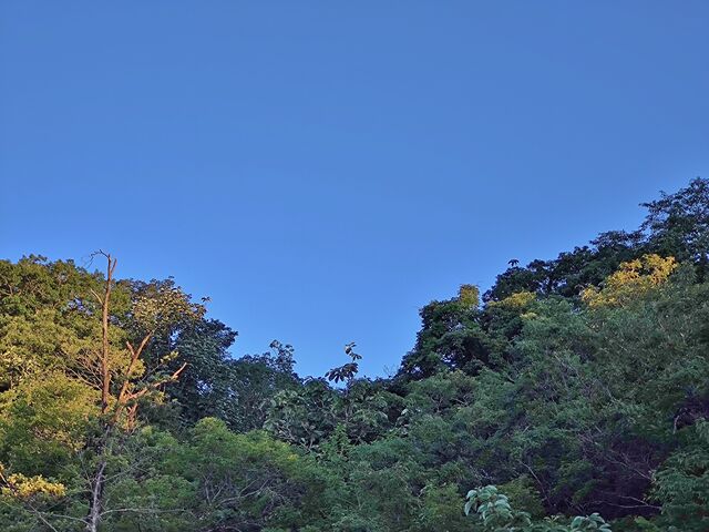 IMG_20220701_182656860