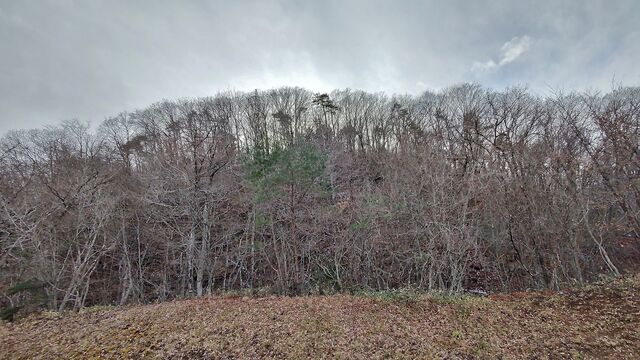 IMG_20221218_142019269_HDR