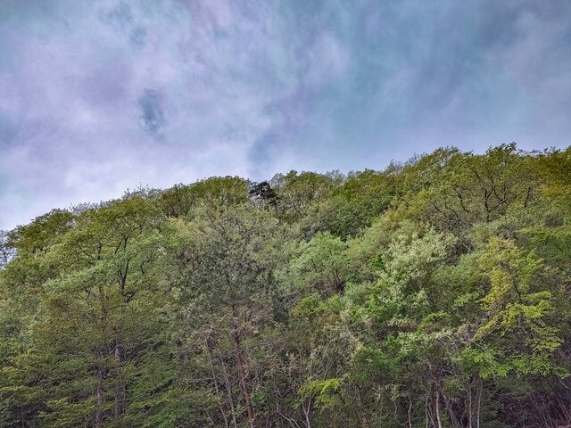 IMG_20220501_072747829_HDR_edited