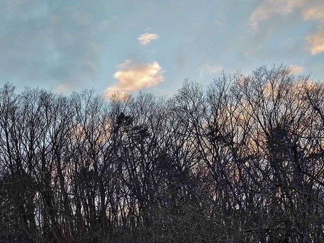 IMG_20220129_164121811