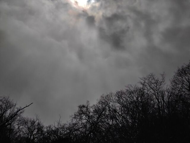 IMG_20220206_113537957