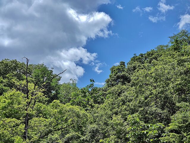 IMG_20220528_104817172