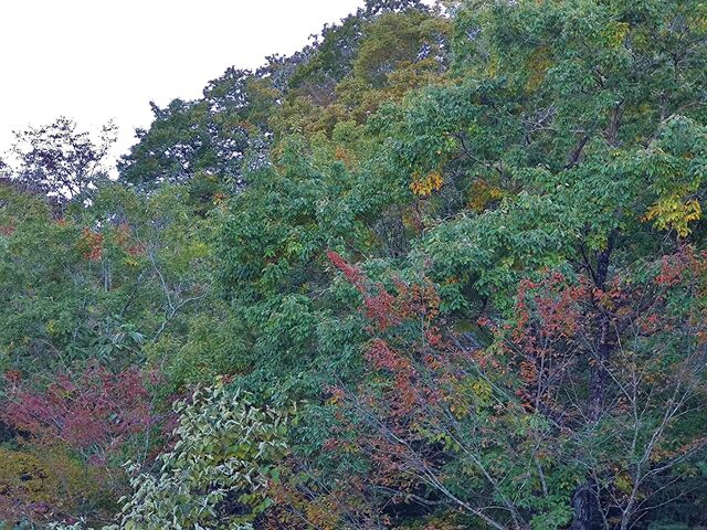 IMG_20221030_151839994