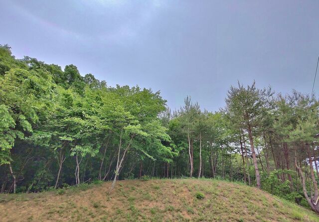 IMG_20220521_130249878_HDR