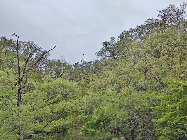 IMG_20220501_072827912