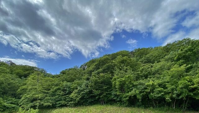 IMG_5679 (640x364)
