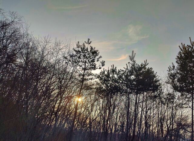 IMG_20220403_165734742_HDR