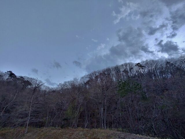 IMG_20220413_181053780_HDR