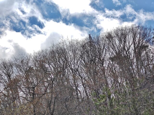 IMG_20220416_125836052