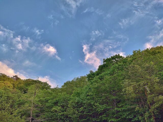 IMG_20220509_180623533_HDR