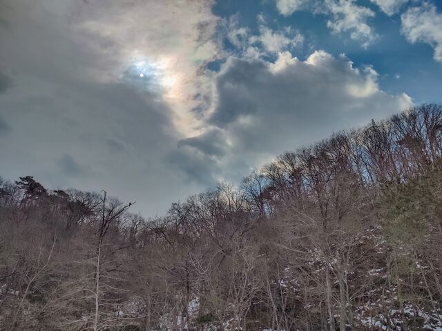IMG_20220227_110907577_HDR_edited