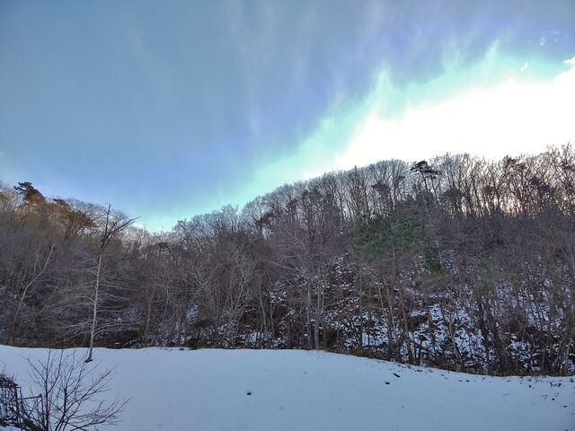 IMG_20220129_160125277