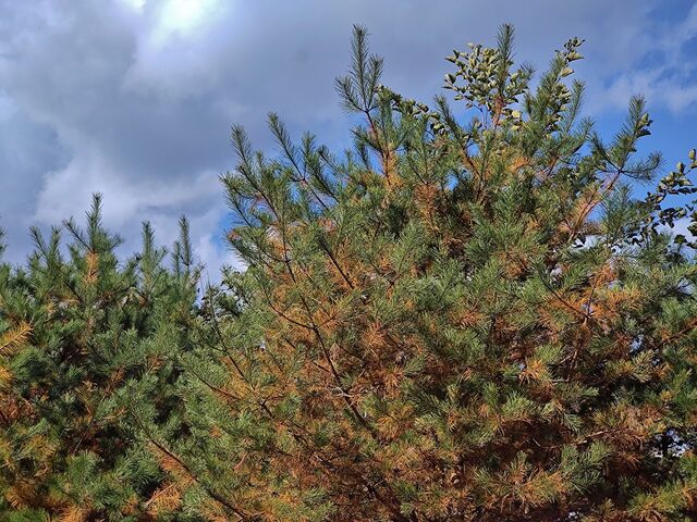 IMG_20221103_101144098