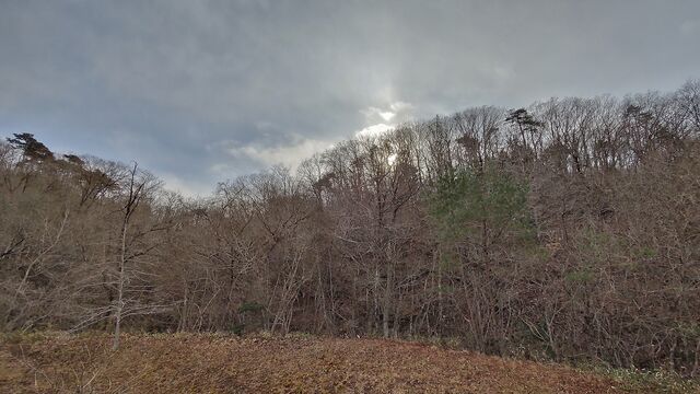 IMG_20221225_131521538_HDR