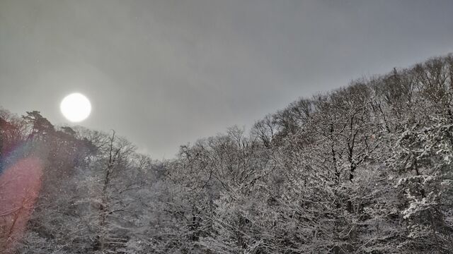 IMG_20230102_100234842_HDR