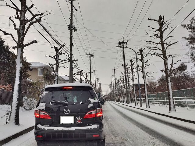 IMG_20220221_071744713_HDR