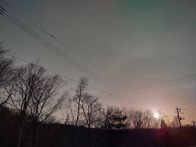 IMG_20220330_171527627_HDR