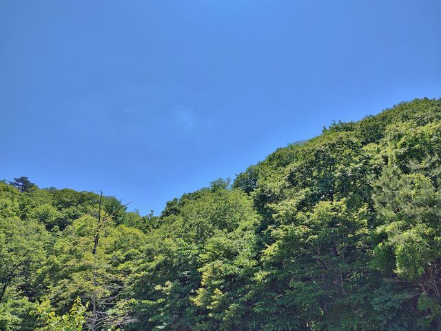 IMG_20220529_115513138_HDR
