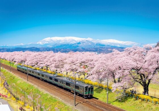 spring