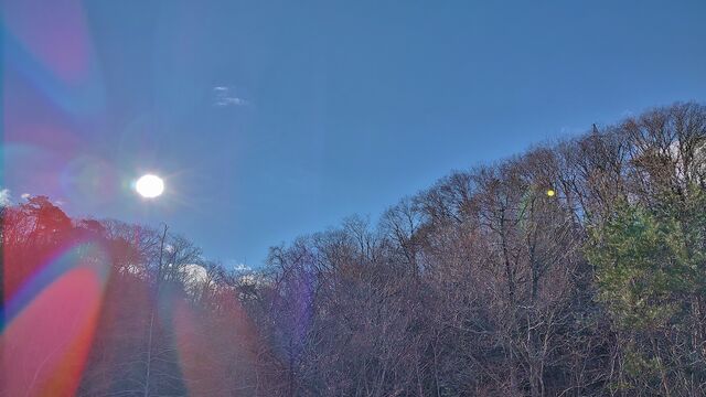 IMG_20221230_101915477_HDR