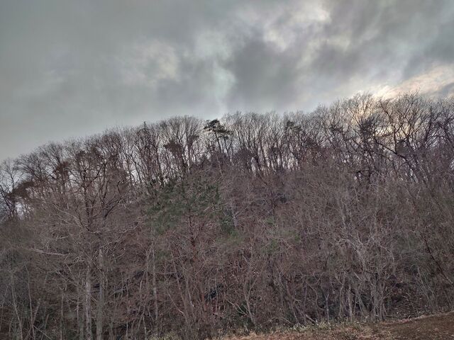 IMG_20220313_161429478_HDR