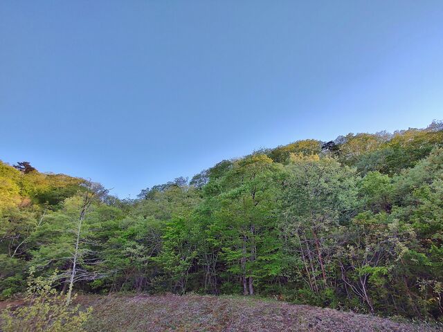 IMG_20220503_173323419_HDR