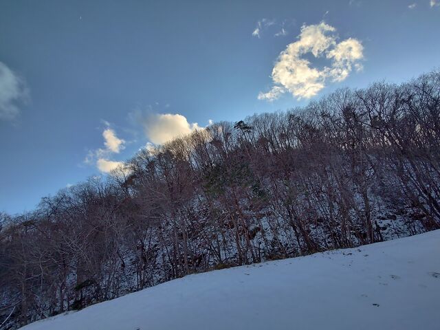 IMG_20220206_161023024_HDR