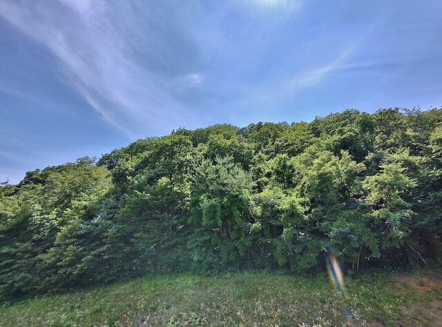 IMG_20220703_140230760_HDR