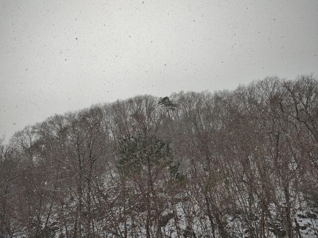 IMG_20211231_102838815