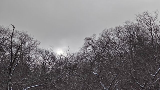 IMG_20230129_114449065