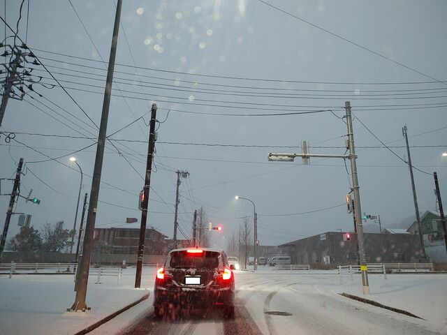 IMG_20220112_0643420789