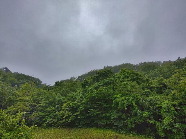 IMG_20220623_181110667_HDR