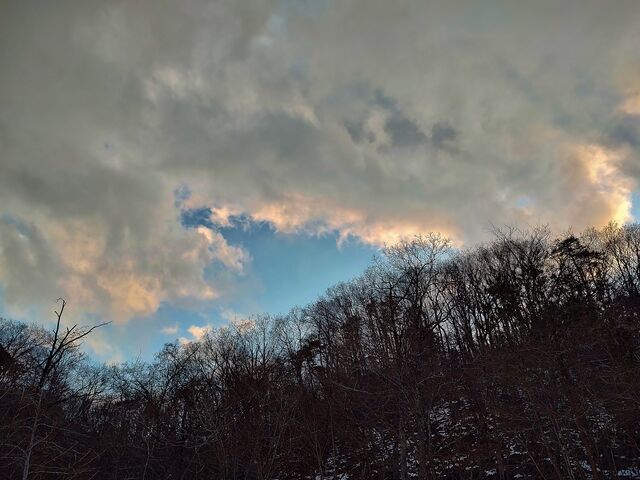 IMG_20220131_164050099_HDR