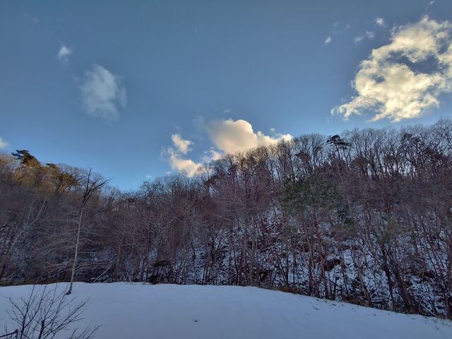 IMG_20220206_161037310_HDR