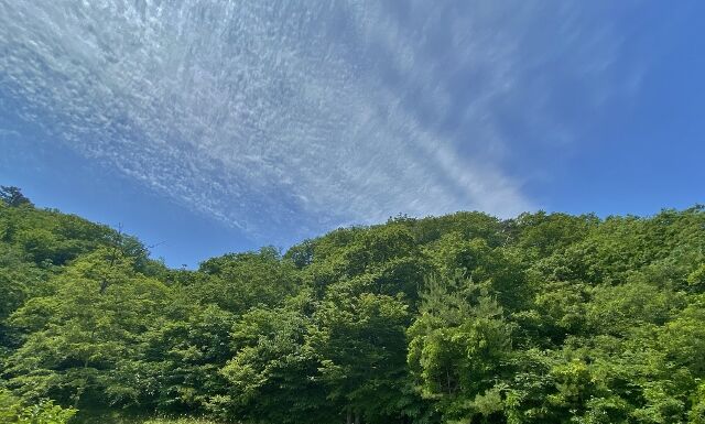 IMG_4674 (640x385)