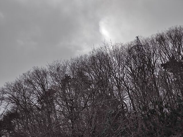 IMG_20220206_113019097