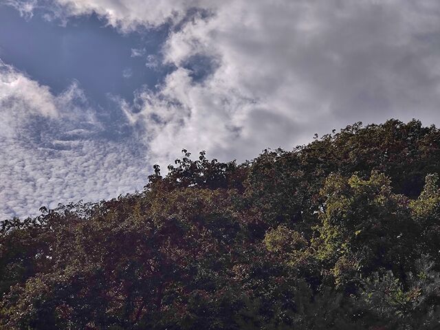 IMG_20221015_114508108