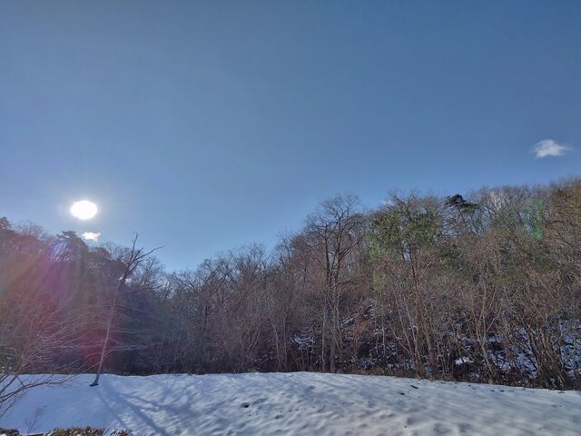 IMG_20220129_095430085_HDR