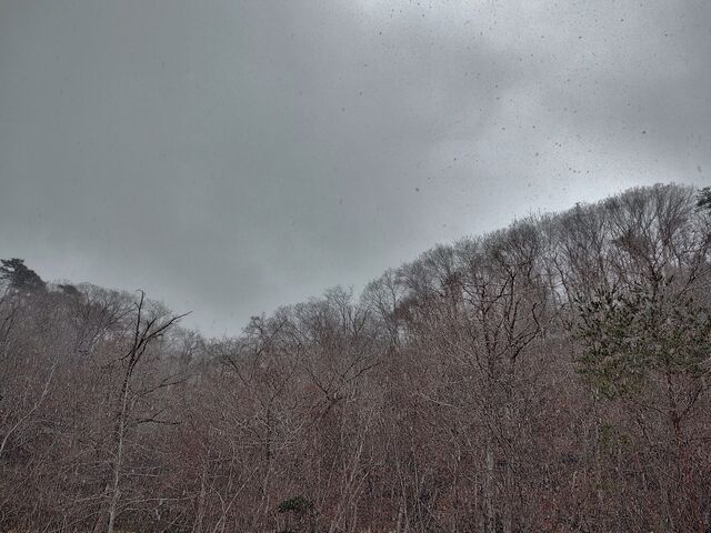 IMG_20220322_113313088_HDR