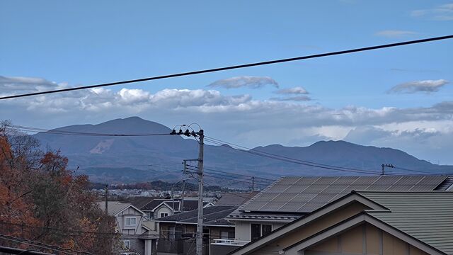 IMG_20221126_114848341