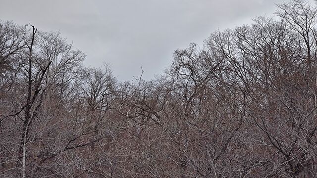 IMG_20230114_114700397
