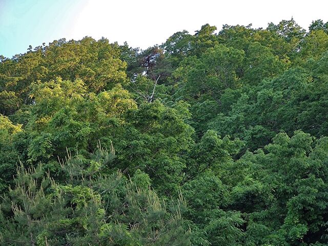 IMG_20220523_180535938